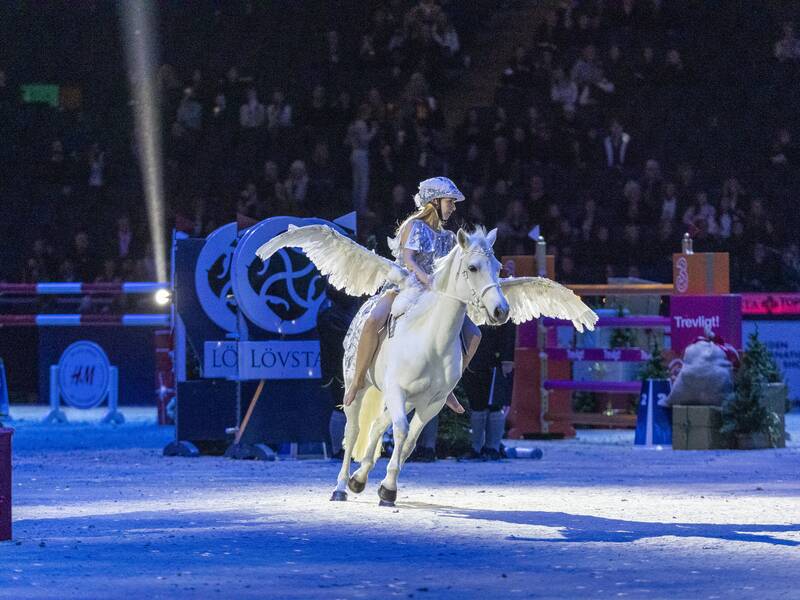 Stockholm Horse Show