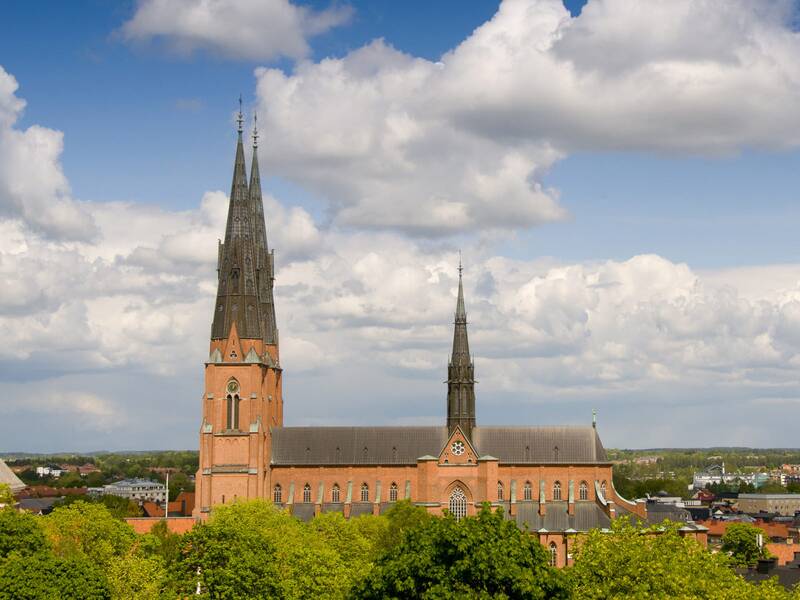 Dom Uppsala