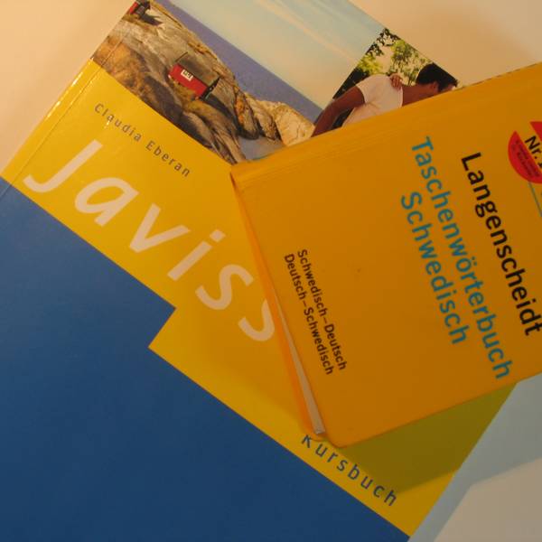 Schwedisch lernen – Schwedisch sprechen Schwedisch lernen