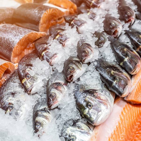 Essen & Trinken in Norwegen Norwegen Essen Trinken