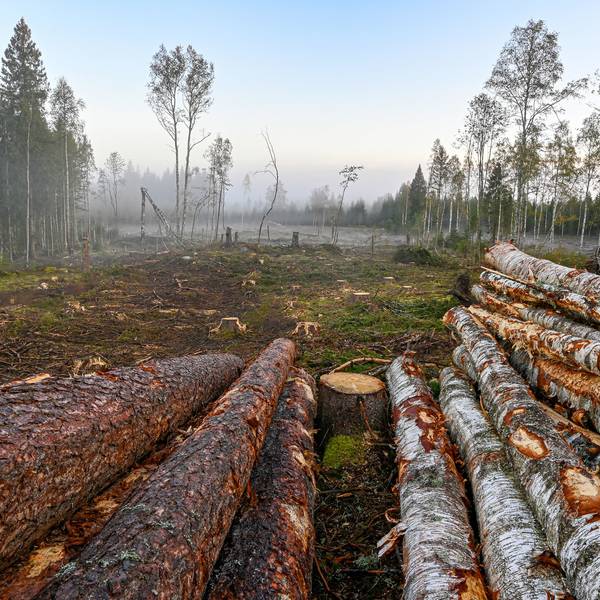 Wirtschaft in Schweden Schweden Wirtschaft