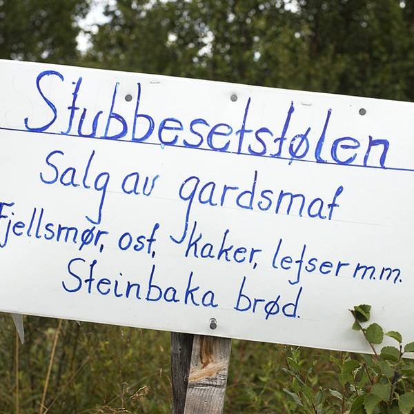 Norwegische lernen Norwegisch