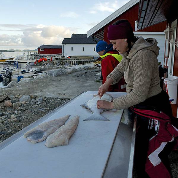 Wirtschaft in Norwegen Wirtschaft Norwegen
