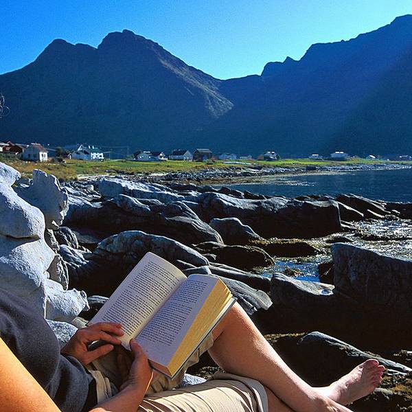 Studieren in Norwegen Studieren Norwegen