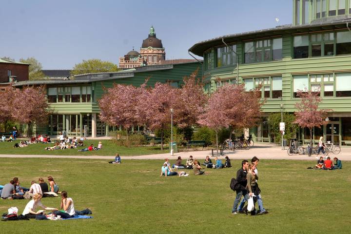 Universität Stockholm